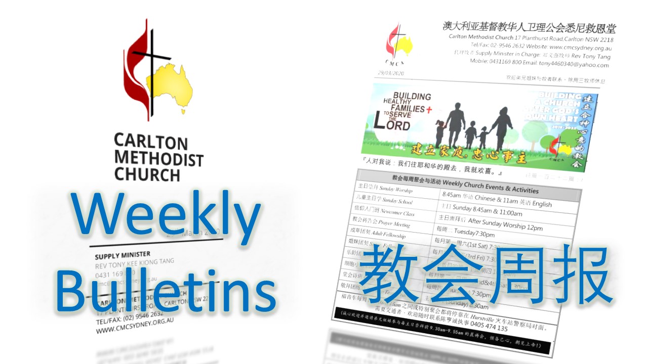 Weekly Bulletins